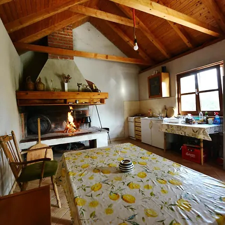 Zvizda Villa